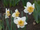 041