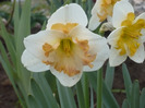 047