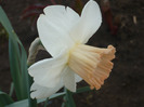 049