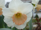 050