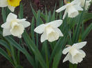 051