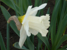 052