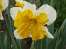 058
