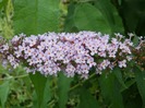 P7150100