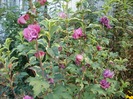 P9160010