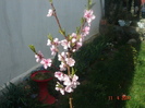 DSC06161