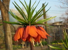 DSCI0755