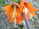 DSCI0761