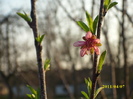 DSCI0792