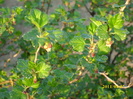 DSCI0797