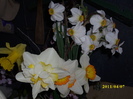 DSCI0804