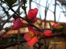 DSCI0827