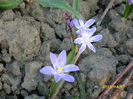 DSCI0839