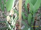 DSCI0946