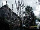 DSCI0951
