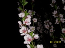 DSCI1236