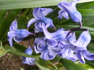 DSCF6289
