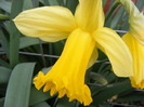 DSCF6264