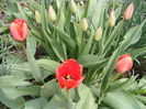 DSCF6273