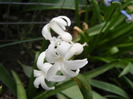 DSCF6277