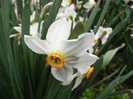 DSCF6280
