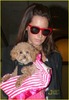 ashley-tisdale-maui-san-diego-01