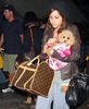 PHOTO GALLERY Ashley Tisdale Walks the Dog, Literally