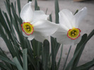 DSCN0576