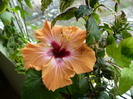 14 apr