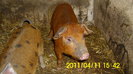 IMG_0127 (2)
