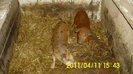 IMG_0128 (2)