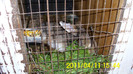 IMG_0138 (2)