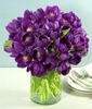 images7