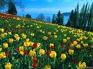XKNCAUO94SSCAWZKTT4CA38TYNACAK33QHYCA3L2QA4CAGYXL3KCA1BPELGCAZ48YRZCAWO945GCANKCUM1CAV2NKPRCAYFWQS1C