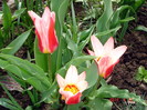DSC09856