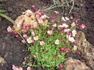 DSC09870