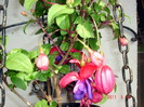 DSC09874