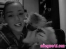 Miley Cyrus add NEW video on MileyWorld 2011 !!!!! 0048