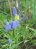 DSC02695