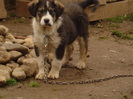 DSC03270