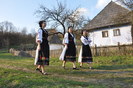 muzeul satului baia mare