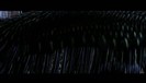 bscap0061