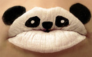 Urs panda