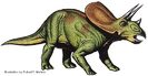 walters_torosaurus