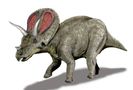 Torosaurus-Nobu-Tamura