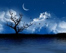 wallpaper-tree-pictures-romantic-artistic-night