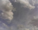 IMG0908A