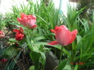 DSC06182