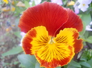 DSCN0994