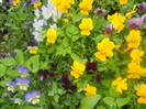 DSCN0997